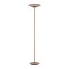 Paul Neuhaus Verlichting Moon Staande lamp LED Brons, 2-lichts