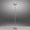 Paul Neuhaus Verlichting Moon Staande lamp LED Brons, 2-lichts