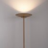 Paul Neuhaus Verlichting Moon Staande lamp LED Brons, 2-lichts