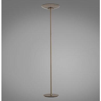 Paul Neuhaus Verlichting Moon Staande lamp LED Brons, 2-lichts