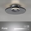 Paul Neuhaus Verlichting Moon Plafondlamp LED Grijs, 2-lichts
