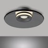 Paul Neuhaus Verlichting Moon Plafondlamp LED Grijs, 2-lichts