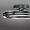 Paul Neuhaus Verlichting Loop Plafondlamp LED Grijs, 2-lichts, Afstandsbediening