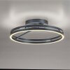 Paul Neuhaus Verlichting Loop Plafondlamp LED Grijs, 2-lichts, Afstandsbediening