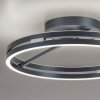 Paul Neuhaus Verlichting Loop Plafondlamp LED Grijs, 2-lichts, Afstandsbediening