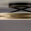 Paul Neuhaus Verlichting Loop Plafondlamp LED Goud, Zwart, 2-lichts, Afstandsbediening