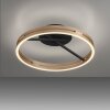 Paul Neuhaus Verlichting Loop Plafondlamp LED Goud, Zwart, 2-lichts, Afstandsbediening