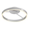 Paul Neuhaus Verlichting Loop Plafondlamp LED Zilver, 2-lichts, Afstandsbediening