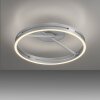 Paul Neuhaus Verlichting Loop Plafondlamp LED Zilver, 2-lichts, Afstandsbediening
