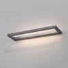 Paul Neuhaus Verlichting Puro Wandlamp LED Grijs, 1-licht