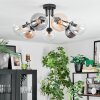 Gastor Plafondlamp, Kogellampje Amber, Duidelijk, Rookkleurig, 7-lichts