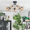 Ripoll Plafondlamp, Kogellampje Amber, Duidelijk, 7-lichts