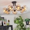 Ripoll Plafondlamp, Kogellampje Amber, Duidelijk, 7-lichts