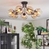 Ripoll Plafondlamp, Kogellampje Amber, Duidelijk, 7-lichts