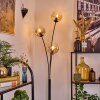 Ripoll Kogellampje, Staande lamp Amber, Duidelijk, 3-lichts