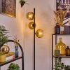 Koyoto Staande lamp 31 cm Goud, Duidelijk, 3-lichts