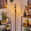 Koyoto Staande lamp 31 cm Amber, Duidelijk, 3-lichts