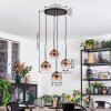 Koyoto Hanglamp, Kogellampje, Cluster hanglamp Duidelijk, Koperkleurig, 4-lichts