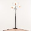Lindberg Staande lamp Zwart, 3-lichts