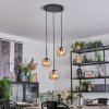 Ripoll Hanglamp, Kogellampje, Cluster hanglamp Amber, 3-lichts