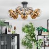 Ripoll Plafondlamp, Kogellampje Goud, Duidelijk, 7-lichts
