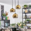 Ripoll Hanglamp, Kogellampje, Cluster hanglamp Goud, Duidelijk, 3-lichts
