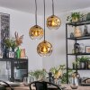 Ripoll Hanglamp, Kogellampje, Cluster hanglamp Goud, Duidelijk, 3-lichts