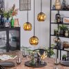 Ripoll Hanglamp, Kogellampje, Cluster hanglamp Goud, 3-lichts