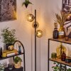Ripoll Staande lamp Duidelijk, Rookkleurig, 3-lichts