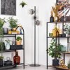 Ripoll Staande lamp Duidelijk, Rookkleurig, 3-lichts