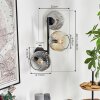 Ripoll Kogellampje, Wandlamp Amber, Duidelijk, Rookkleurig, 3-lichts