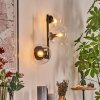 Gastor Kogellampje, Wandlamp Duidelijk, 3-lichts