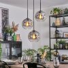 Ripoll Hanglamp, Kogellampje, Cluster hanglamp Duidelijk, Rookkleurig, 3-lichts