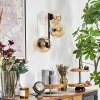 Gastor Kogellampje, Wandlamp Amber, Duidelijk, 3-lichts
