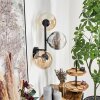 Gastor Kogellampje, Wandlamp Amber, Duidelijk, Rookkleurig, 3-lichts