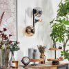 Gastor Kogellampje, Wandlamp Amber, Duidelijk, Rookkleurig, 3-lichts