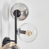 Gastor Kogellampje, Wandlamp Amber, Duidelijk, Rookkleurig, 3-lichts