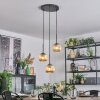 Ripoll Hanglamp, Kogellampje, Cluster hanglamp Amber, 3-lichts