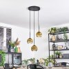 Ripoll Hanglamp, Kogellampje, Cluster hanglamp Goud, Duidelijk, 3-lichts
