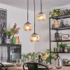 Ripoll Hanglamp, Kogellampje, Cluster hanglamp Chroom, Duidelijk, Rookkleurig, 3-lichts