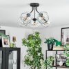 Ripoll Plafondlamp, Kogellampje Duidelijk, 5-lichts