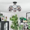 Ripoll Plafondlamp, Kogellampje Chroom, Duidelijk, Rookkleurig, 5-lichts