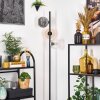Ripoll Staande lamp Amber, Duidelijk, Rookkleurig, 3-lichts
