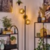 Ripoll Staande lamp Goud, Duidelijk, 3-lichts