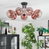 Ripoll Plafondlamp, Kogellampje Duidelijk, Koperkleurig, 7-lichts