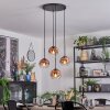 Ripoll Hanglamp, Kogellampje, Cluster hanglamp Duidelijk, Koperkleurig, 4-lichts