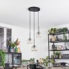 Ripoll Hanglamp, Kogellampje, Cluster hanglamp Amber, Duidelijk, 3-lichts