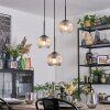 Ripoll Hanglamp, Kogellampje, Cluster hanglamp Amber, Duidelijk, 3-lichts