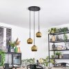 Ripoll Hanglamp, Kogellampje, Cluster hanglamp Goud, 3-lichts