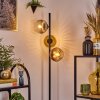 Ripoll Staande lamp Goud, Duidelijk, Koperkleurig, Rookkleurig, 3-lichts